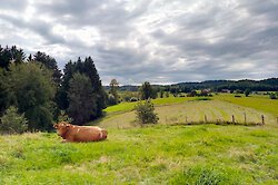 Nachhaltigkeit in Gastronomie und Hotellerie im Baayerischen Wald
